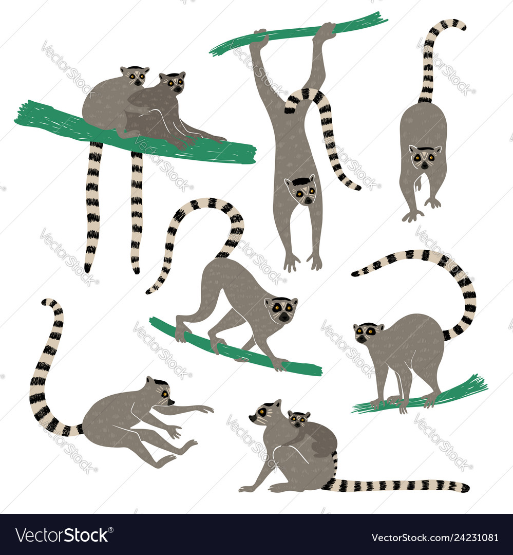 Set Funny Lemur Icons Royalty Free Vector Image 0662