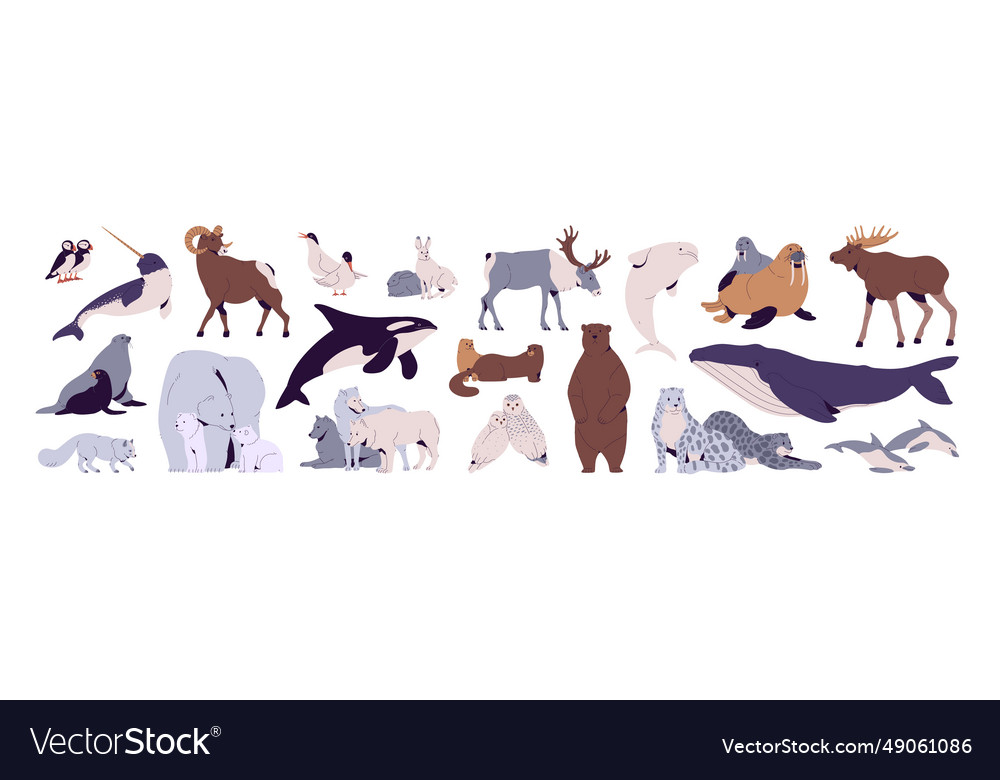 North animals set polar bear owl arctic fox Vector Image