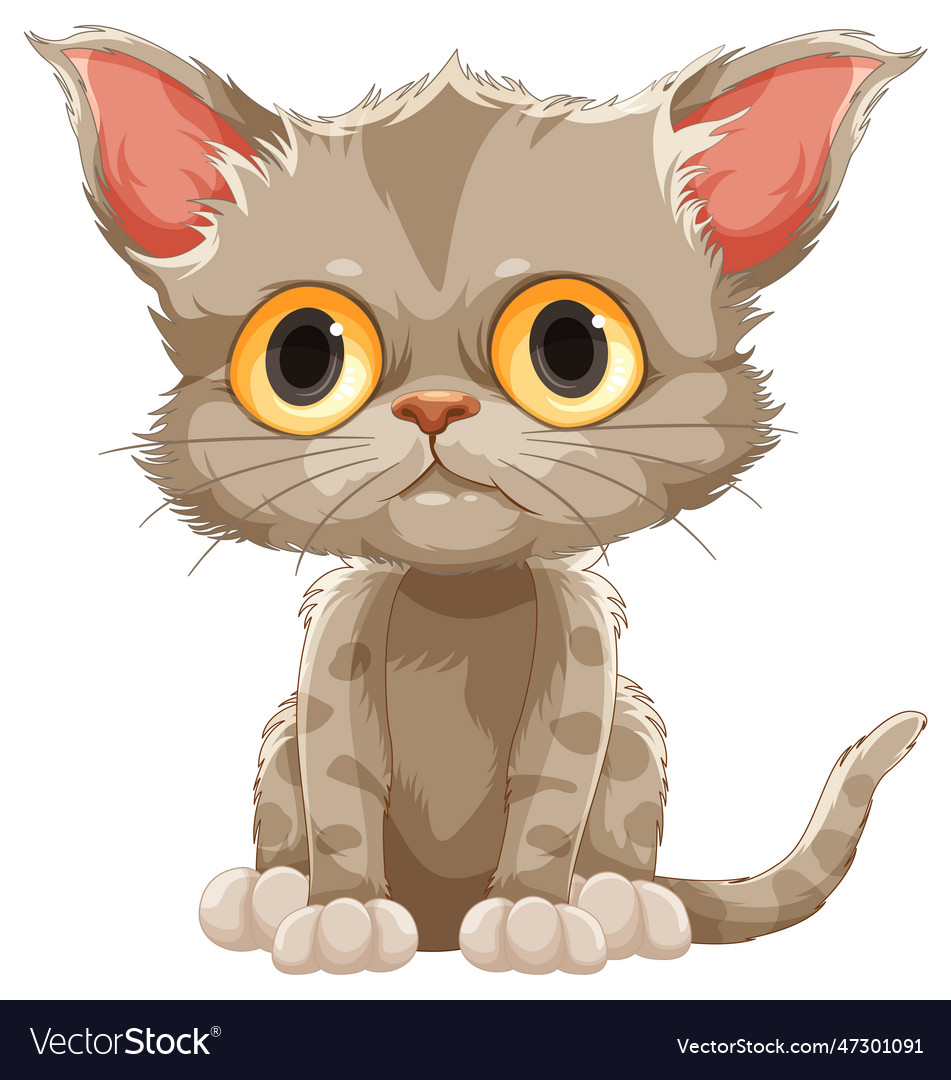 Cute brown kitten in sitting pose Royalty Free Vector Image