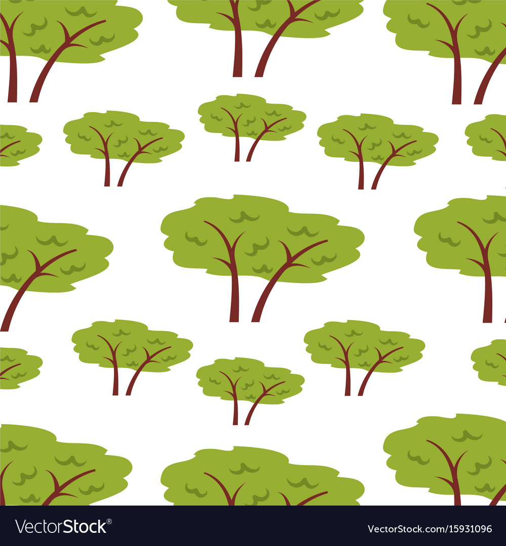 Tree plant forest pattern background Royalty Free Vector