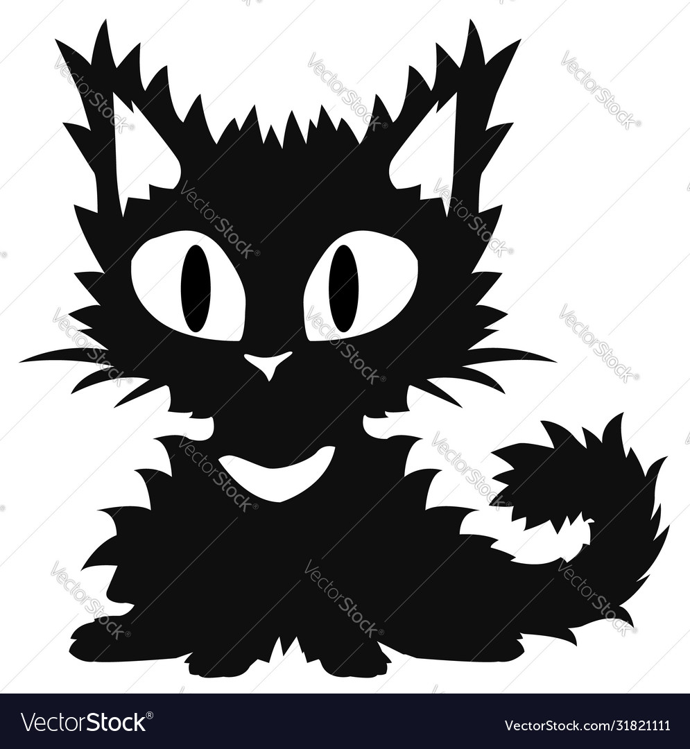 Fuzzy black hot sale kitten