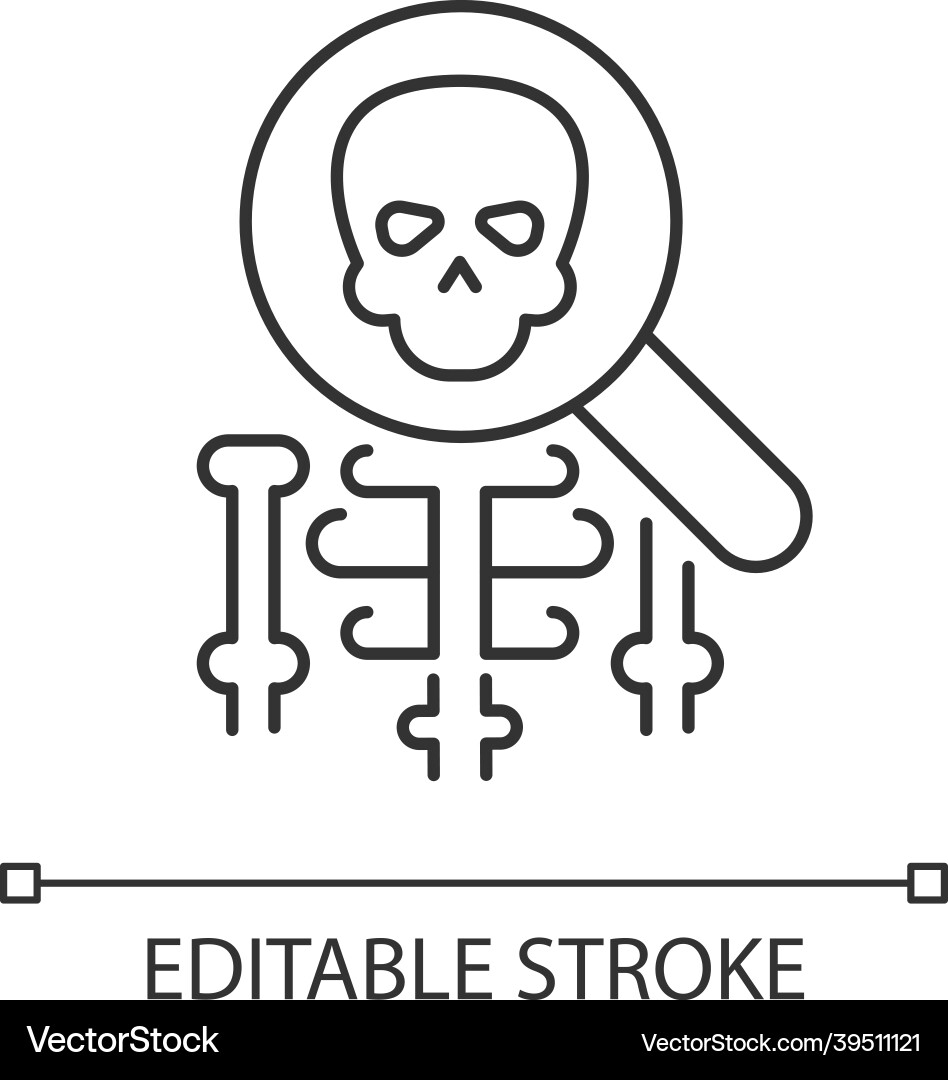 Anatomy linear icon Royalty Free Vector Image - VectorStock