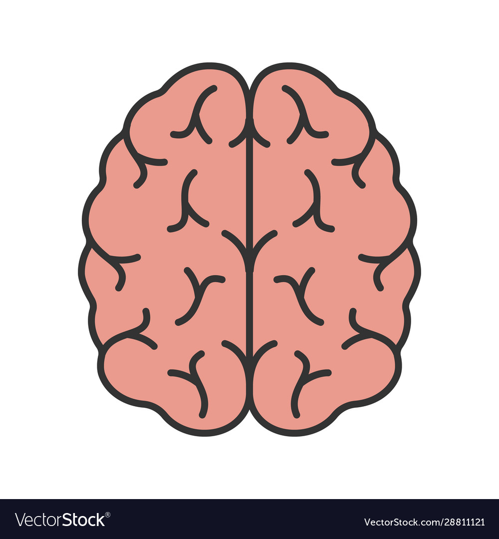 Human brain color icon Royalty Free Vector Image