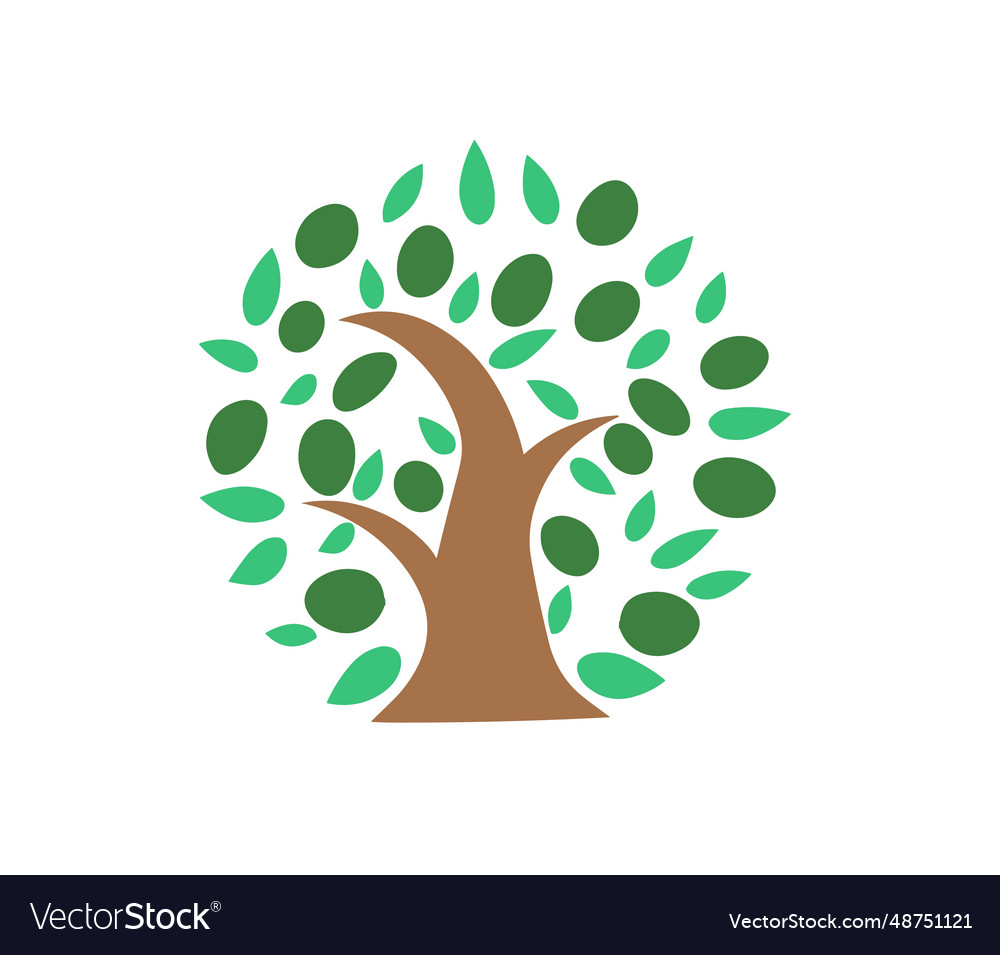 Olive tree logo image creative cartoon design Vector Image