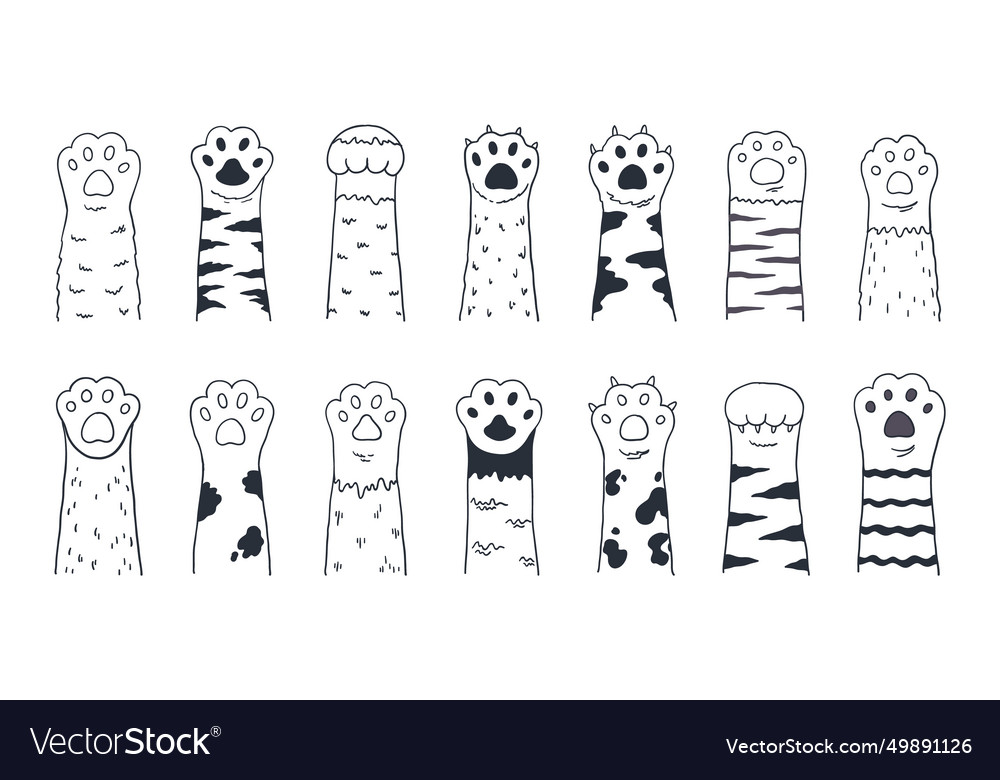 Cute cat paws doodle kitten and puppy limbs wild Vector Image