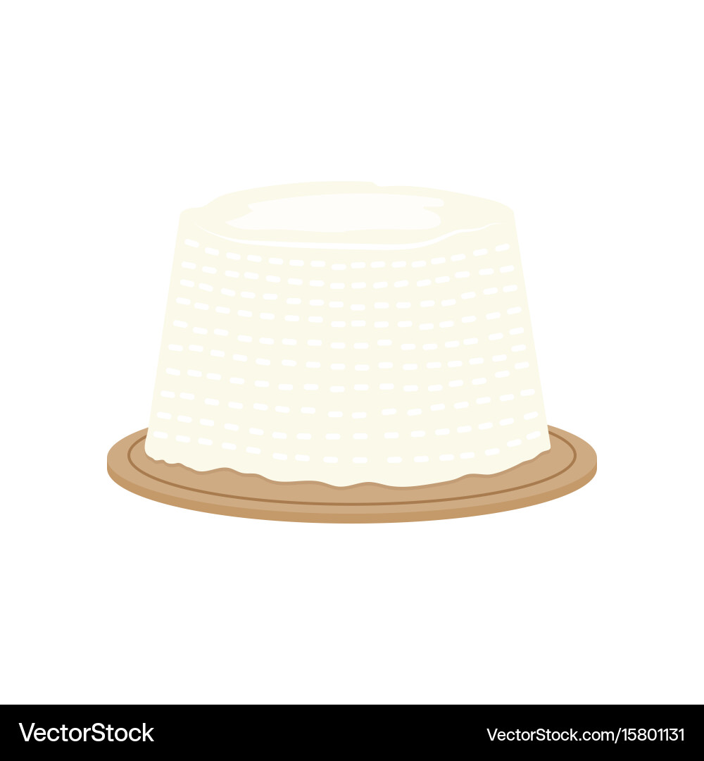 Ricotta fresh cheese Royalty Free Vector Image