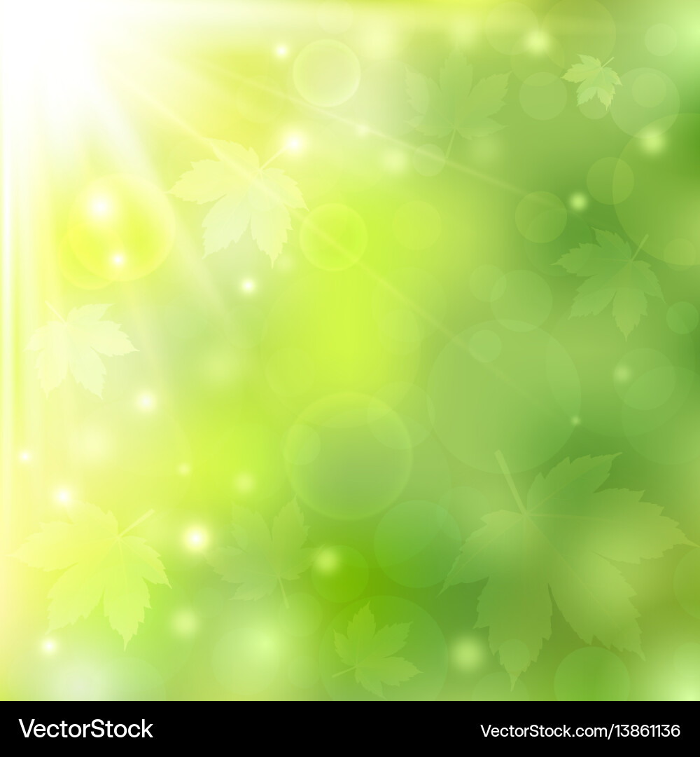 Spring or summer sunny natural green background Vector Image