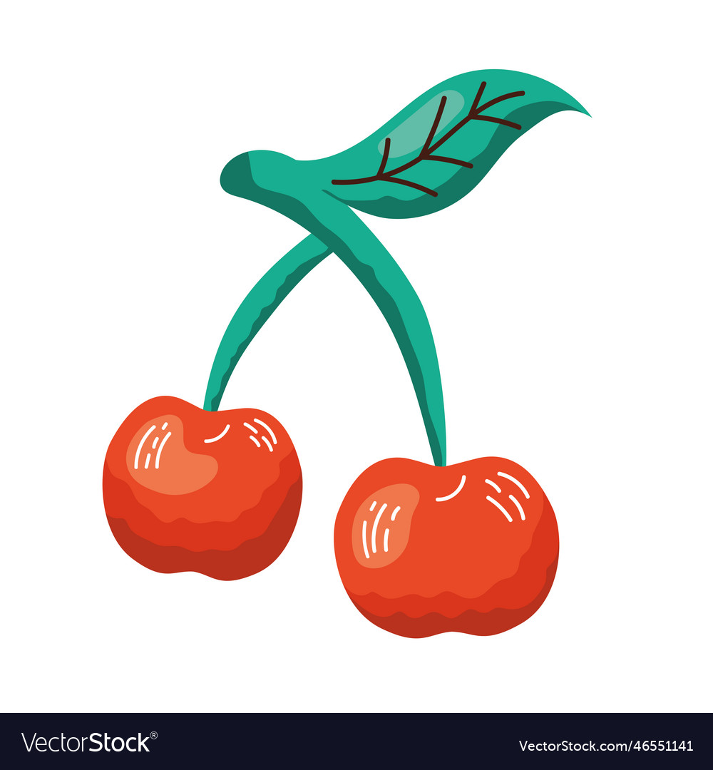 Ripe cherry design Royalty Free Vector Image - VectorStock