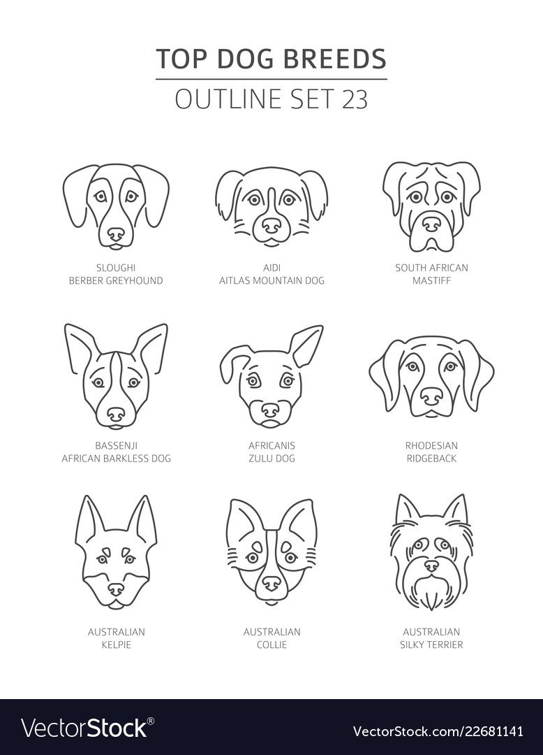 Top dog breeds pet outline collection Royalty Free Vector