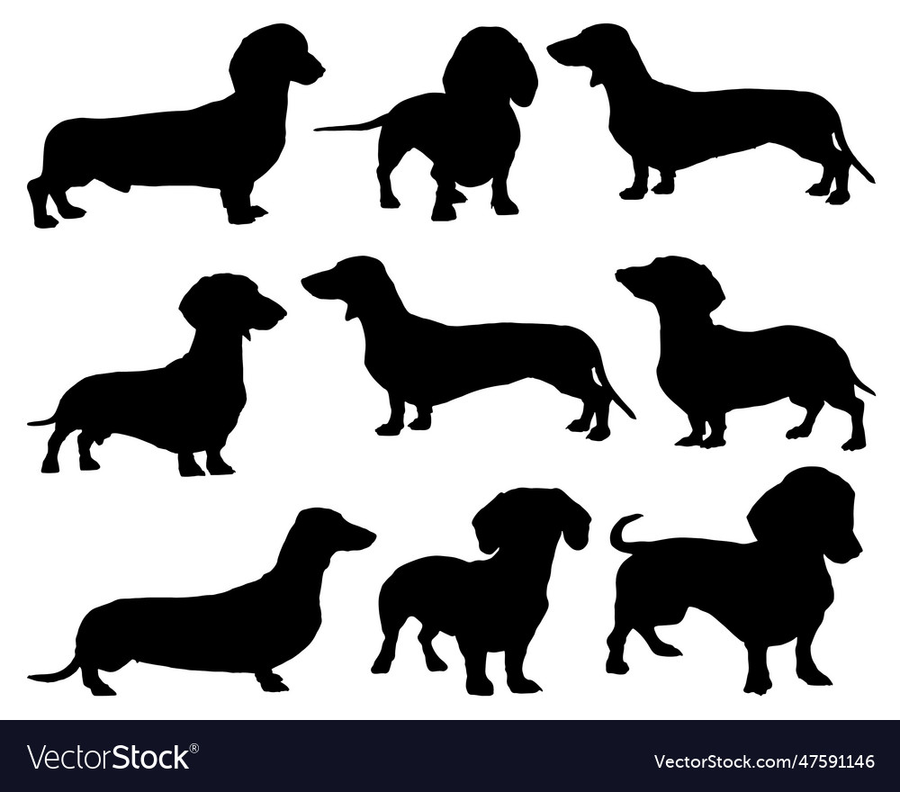 Dachshund silhouette Royalty Free Vector Image