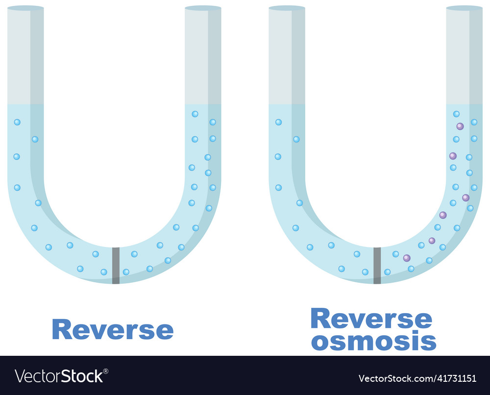 Reverse osmosis desalination plant concept Vector Image