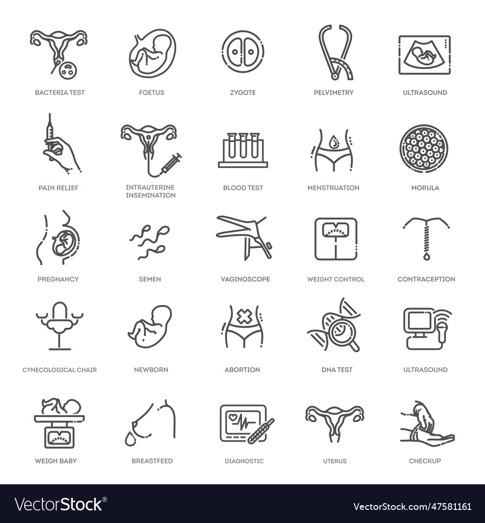 Obstetrics pregnancy line icons Royalty Free Vector Image