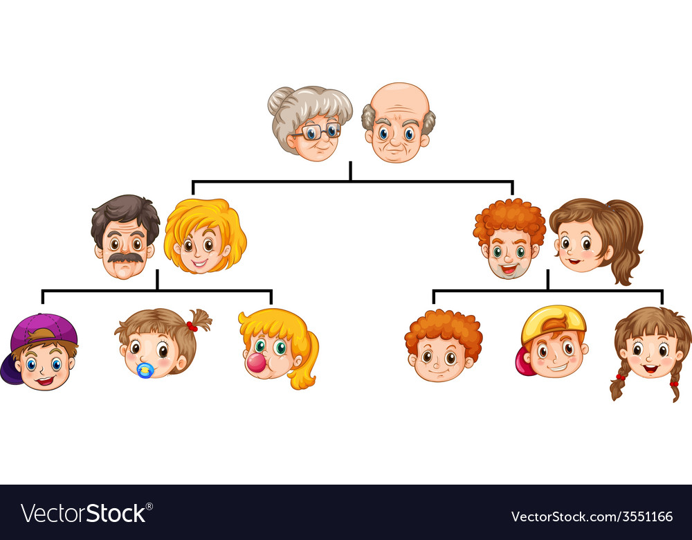 Family Tree Ancestors Vector Images 49