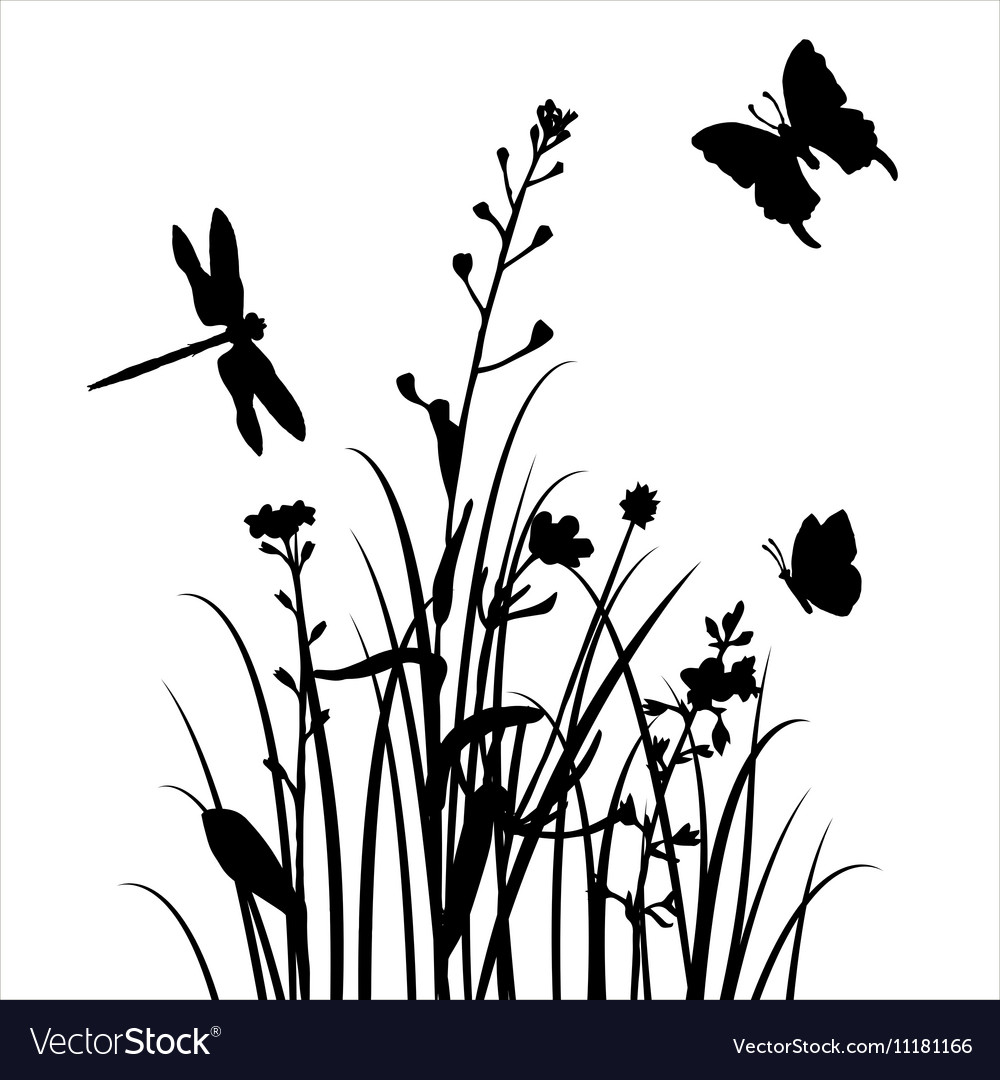 Silhouettes flowers and grass Royalty Free Vector Image