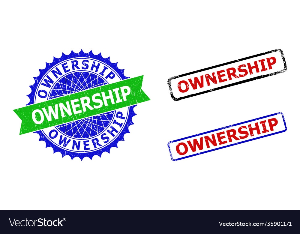 Ownership rosette and rectangle bicolor stamp Vector Image