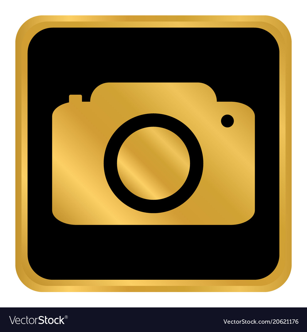 Camera button on white Royalty Free Vector Image