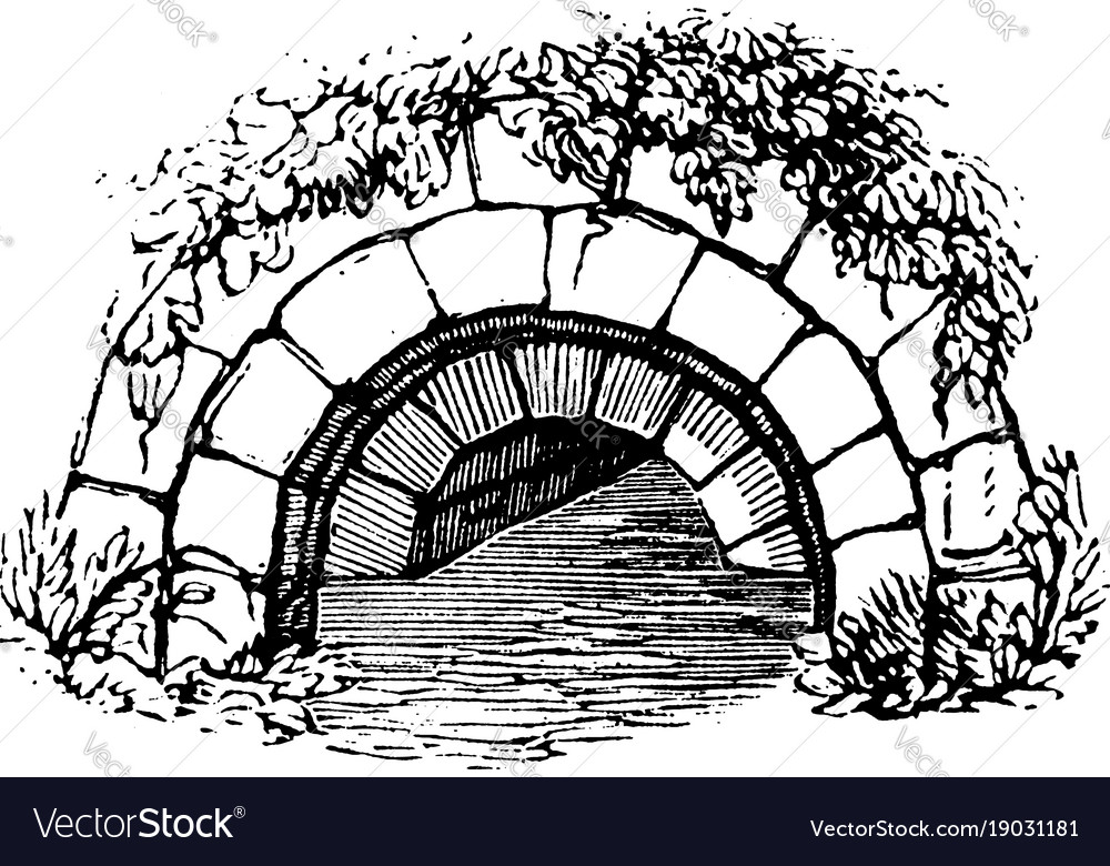 Cloaca is a sewer or a drain vintage engraving Vector Image