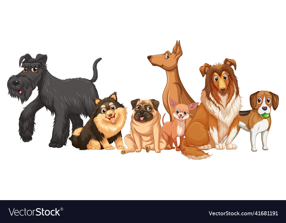 Group of dog breeds on white background Royalty Free Vector