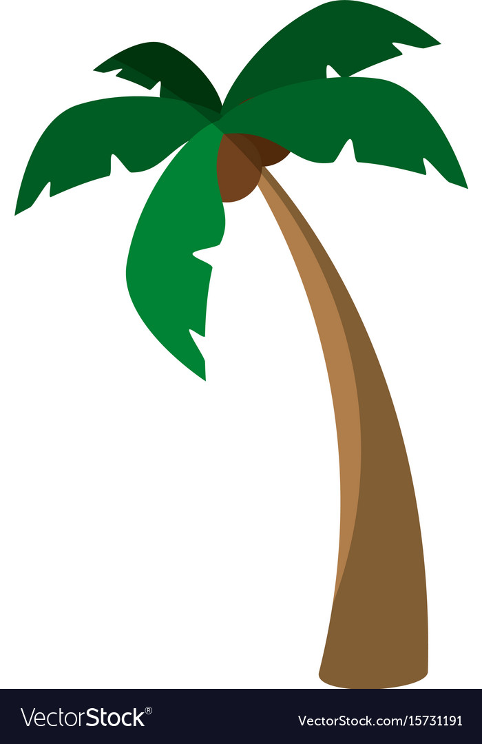 Island tree palms Royalty Free Vector Image VectorStock