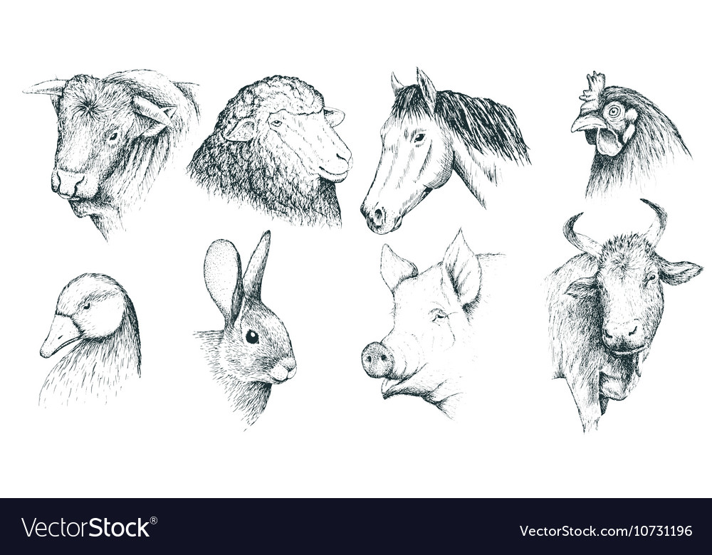 Collection of farm animals handcrafted Royalty Free Vector