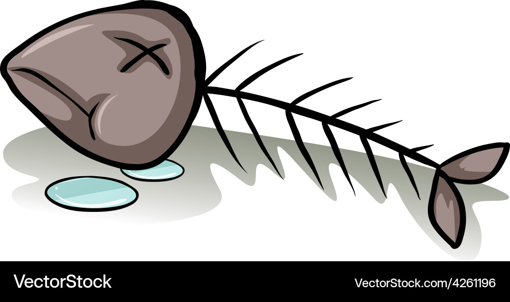 Leftover of a fish Royalty Free Vector Image - VectorStock