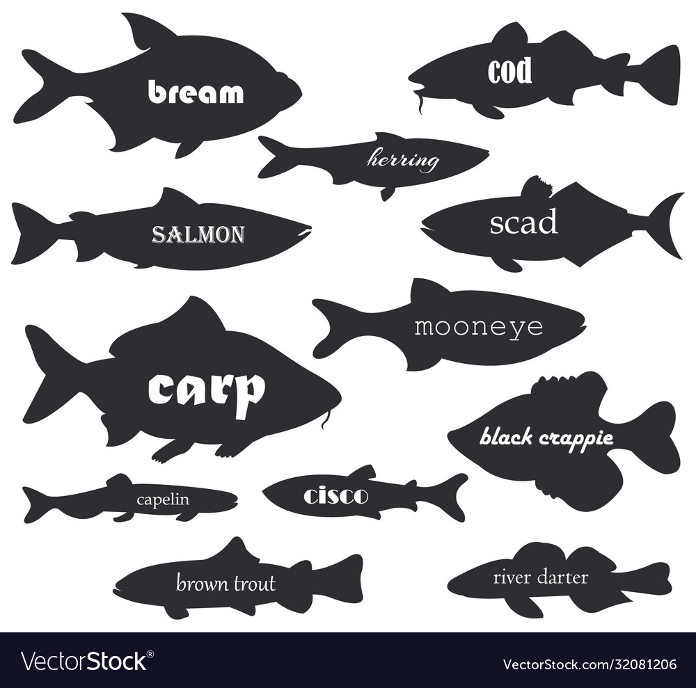 Commercial fish silhouettes with names