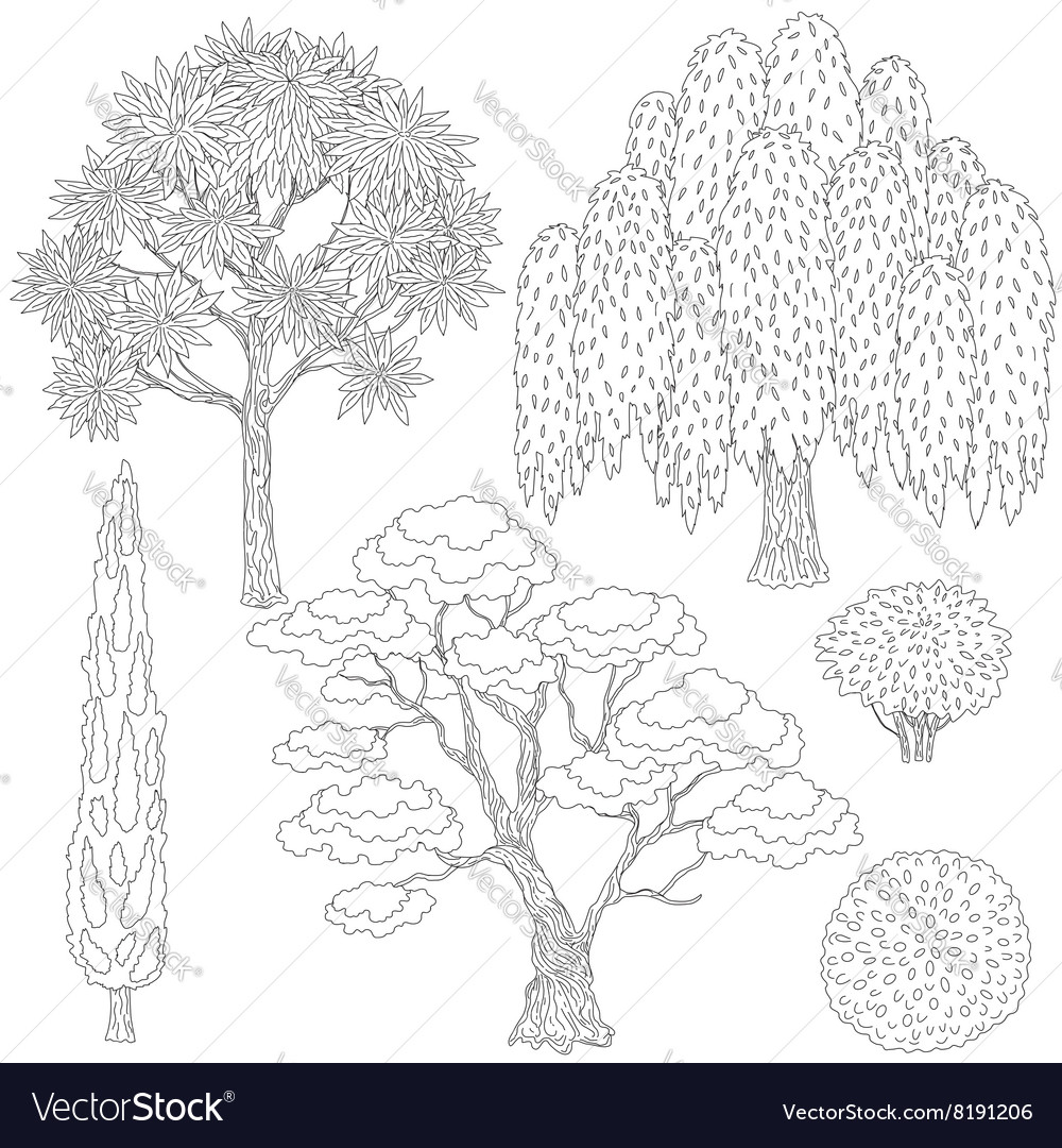 Trees outline Royalty Free Vector Image VectorStock