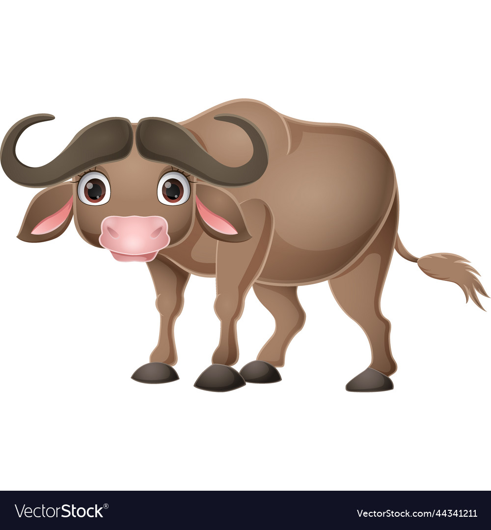 Cute Buffalo Cartoon On White Background Vector Image Cute Buffalo Cartoon On White Background Vector 44341211