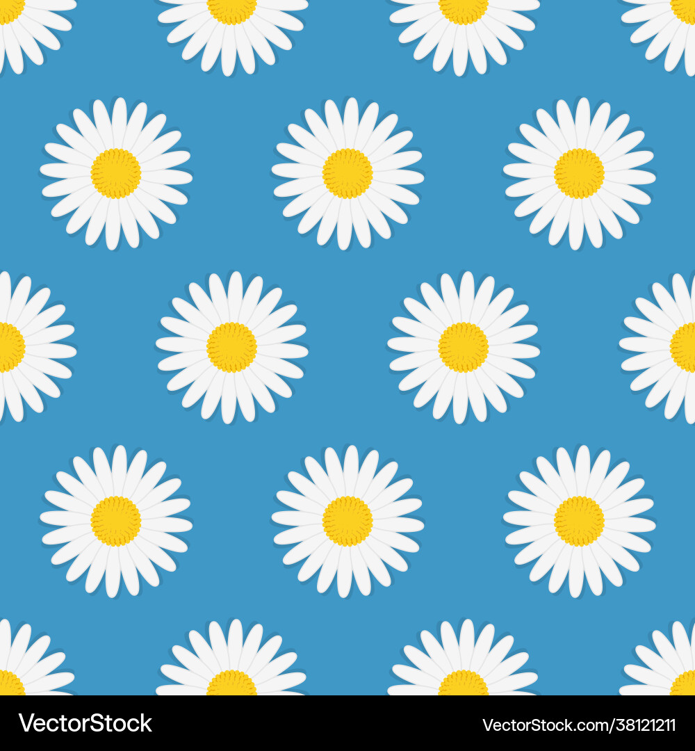 Seamless pattern with chamomile flowers Royalty Free Vector