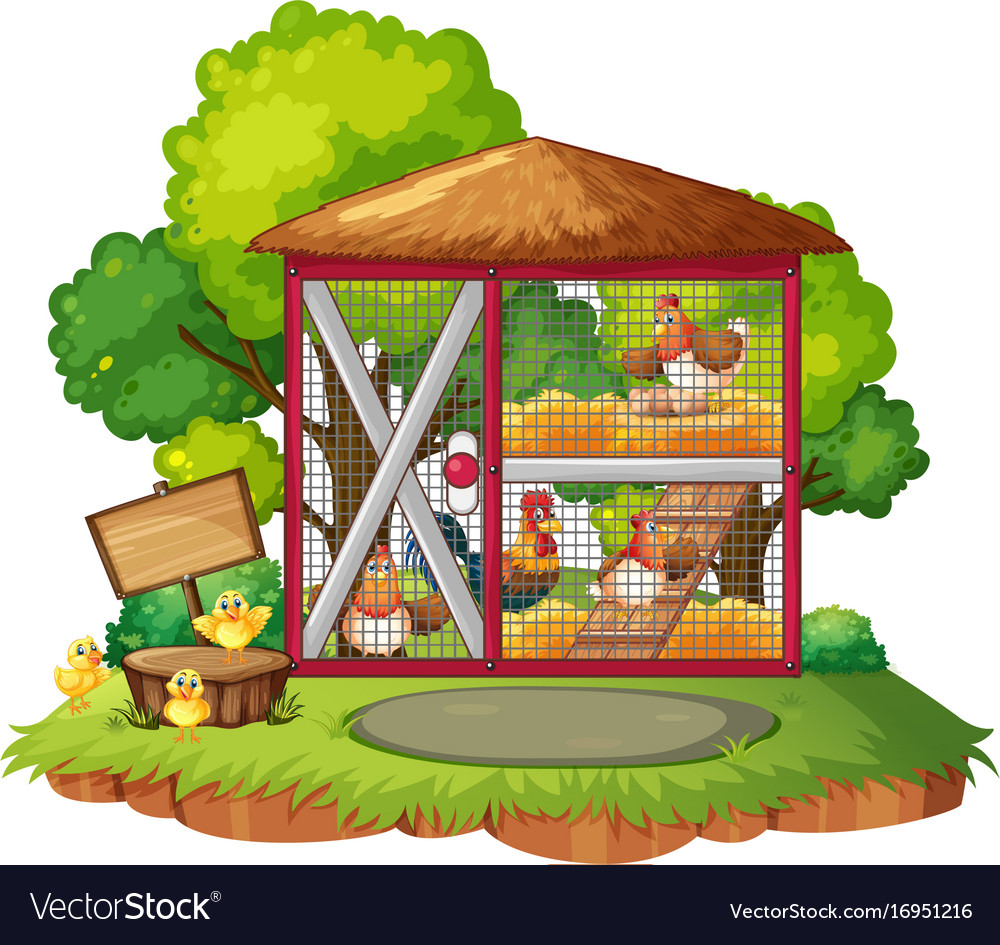 Many chickens in the coop Royalty Free Vector Image