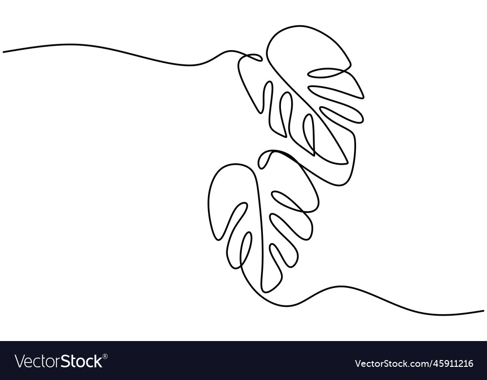 Monstera leaf line art tropical leaves continuous Vector Image