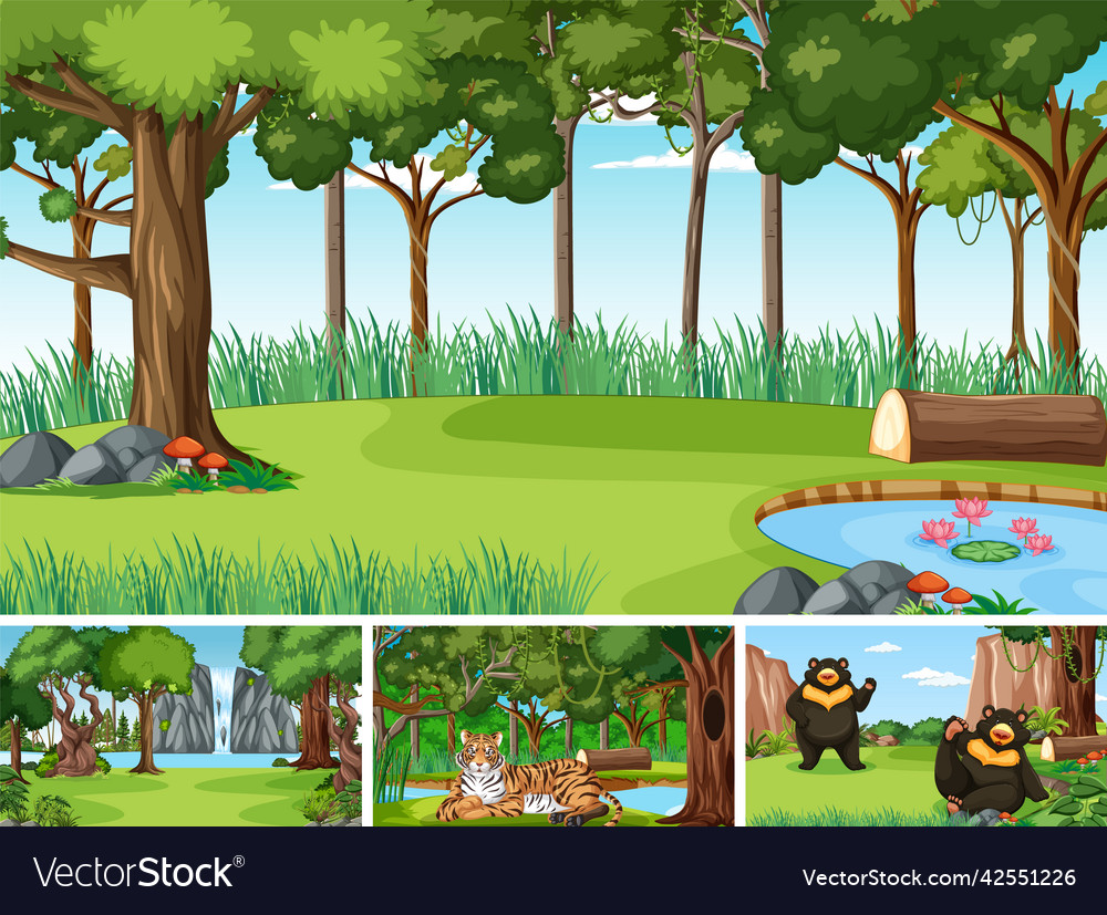 Different forest scenes with wild animals Vector Image