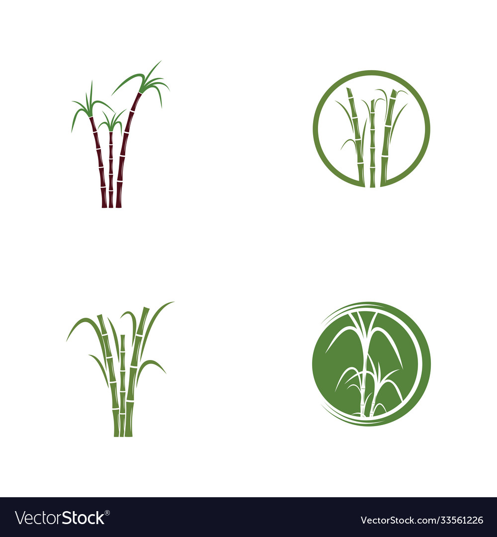 Sugar cane logo template symbol Royalty Free Vector Image