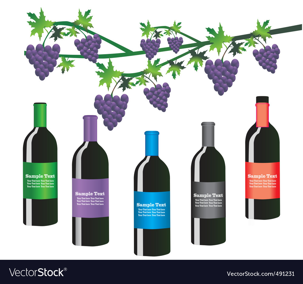 Wine Royalty Free Vector Image - VectorStock