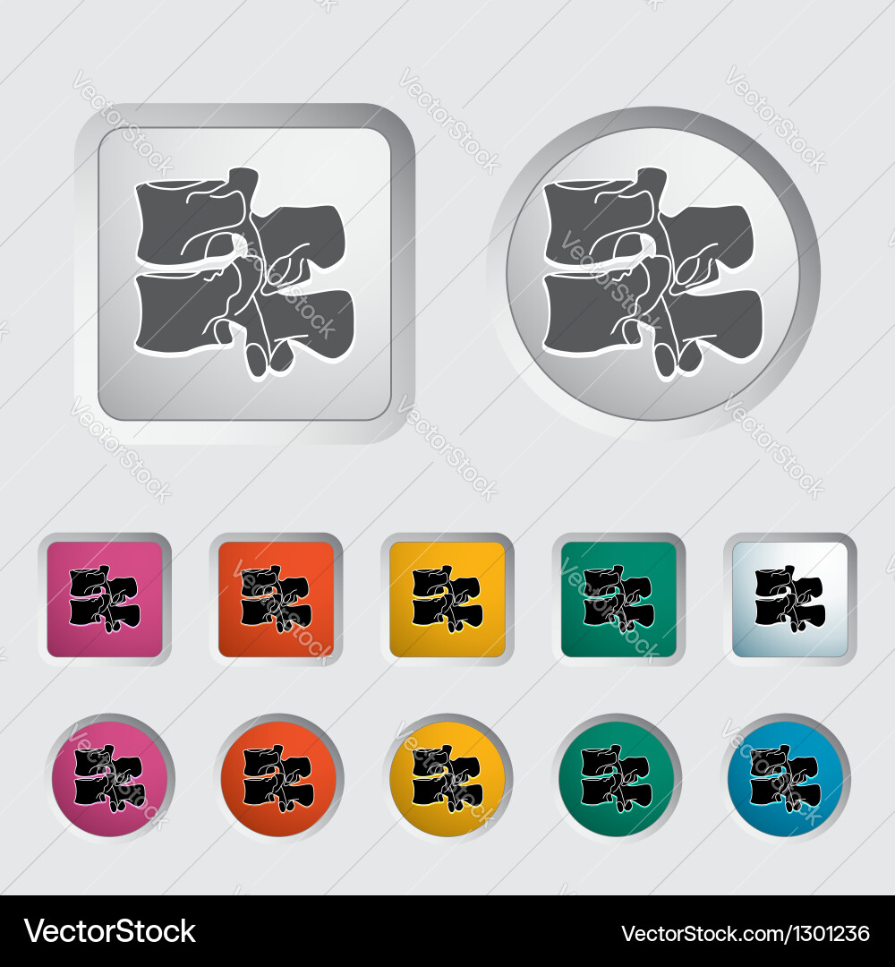 Spine Royalty Free Vector Image - VectorStock