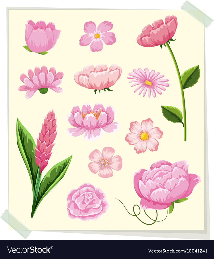 a pink tank covered in pink flowers on a pink background Stock Illustration