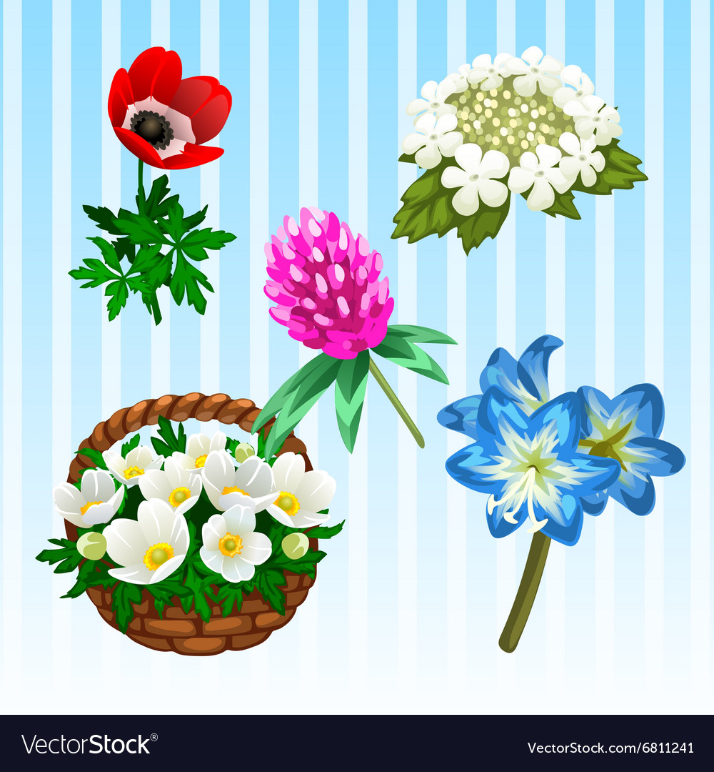 Five different flower types single and bouquet Vector Image