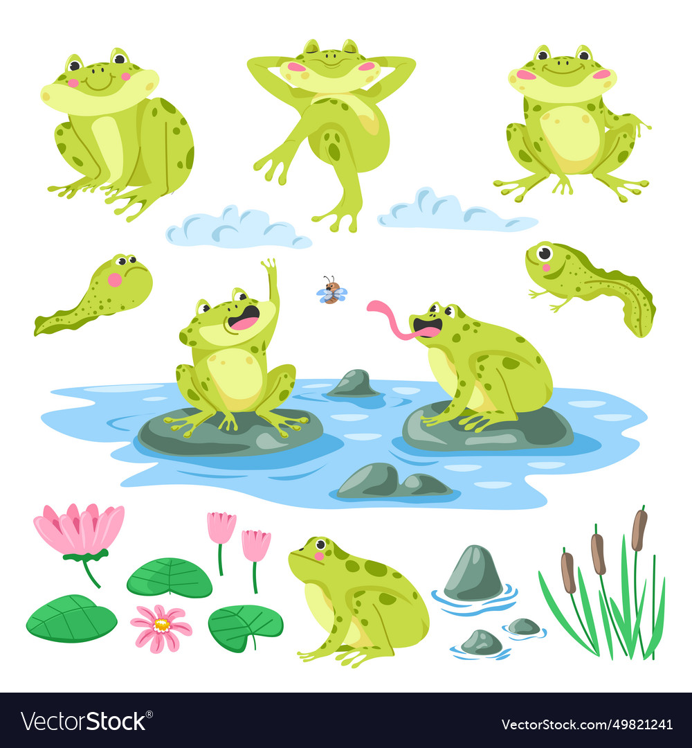 Tadpoles frogs flora and fauna set Royalty Free Vector Image