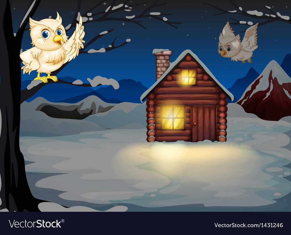 Owls appearing in the middle of night near Vector Image
