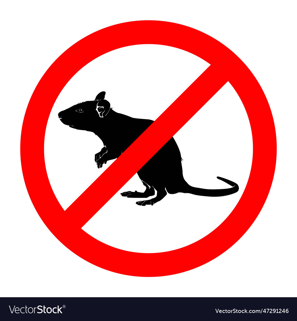 Rat Royalty Free Vector Image - VectorStock