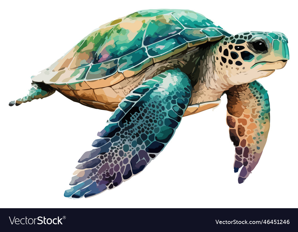 Watercolor sea turtle Royalty Free Vector Image