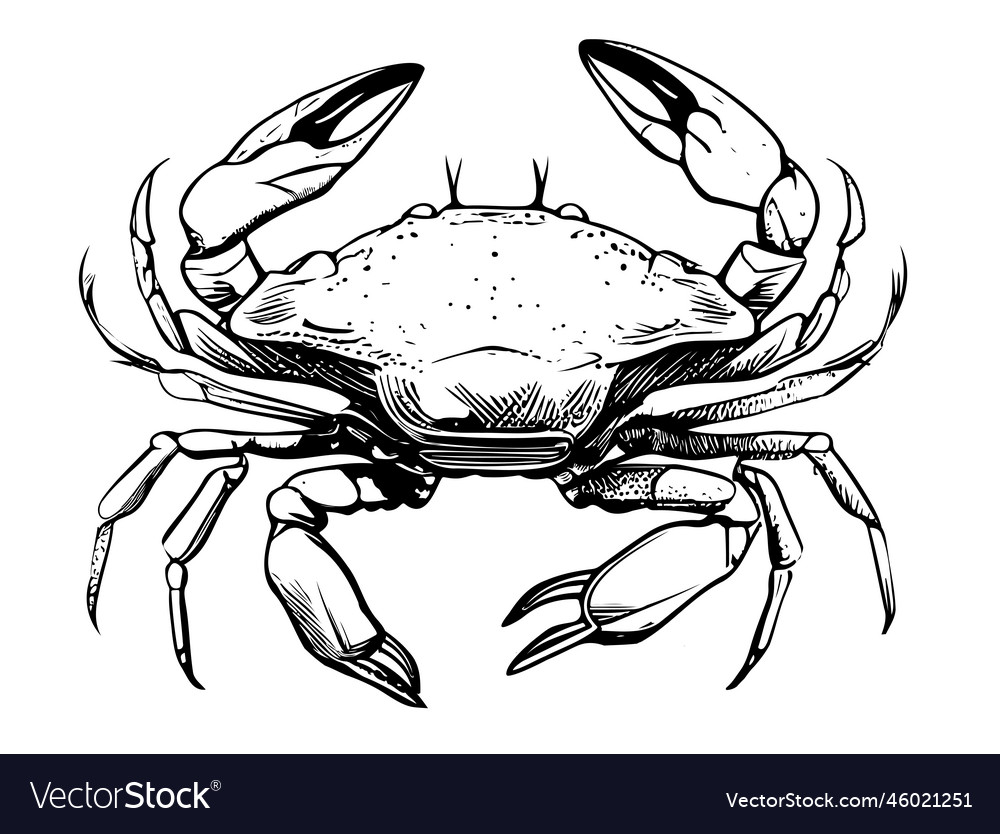 Crab hand drawn sketch sea Royalty Free Vector Image