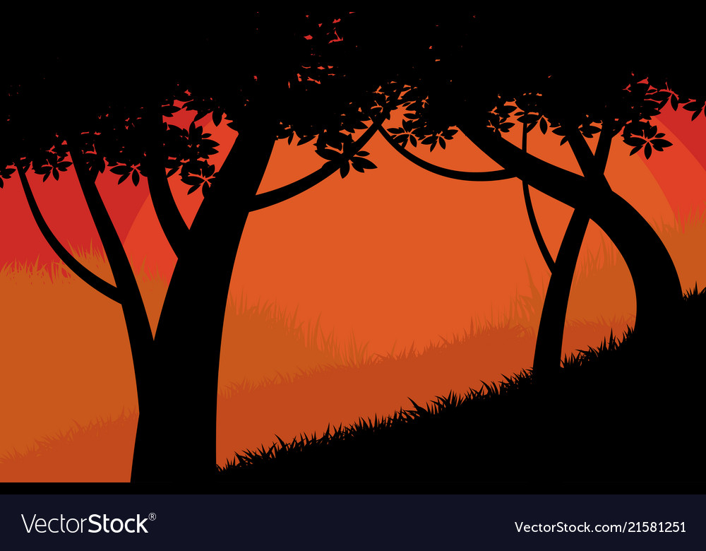 Silhouette trees forest scene Royalty Free Vector Image