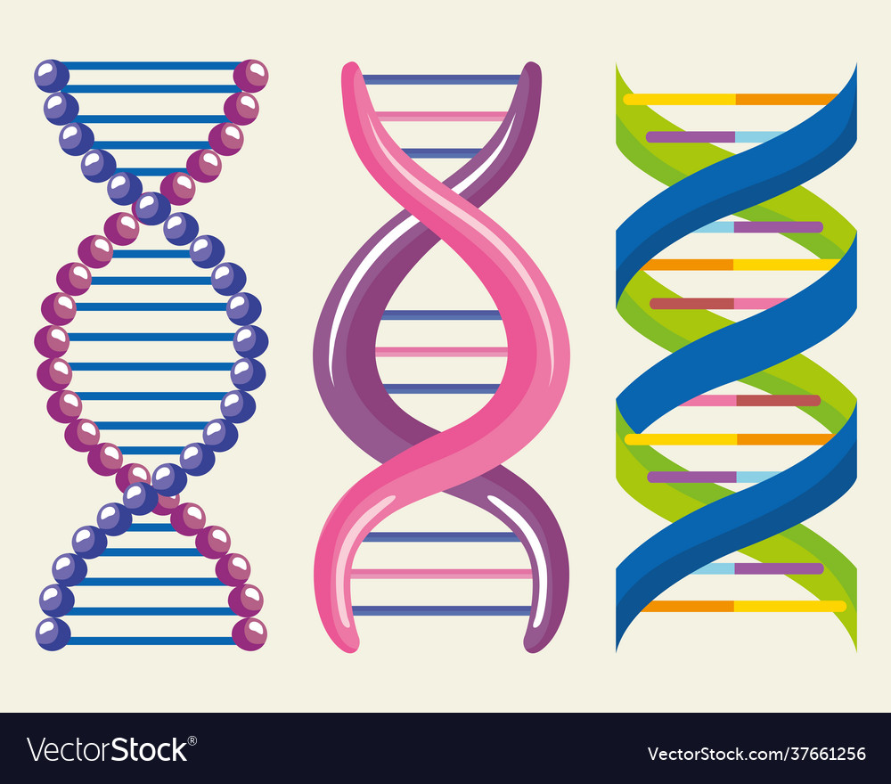 Dna three molecules Royalty Free Vector Image - VectorStock