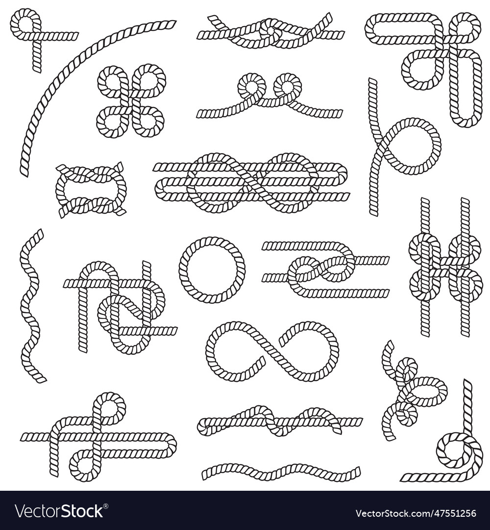 Rope knots set Royalty Free Vector Image - VectorStock