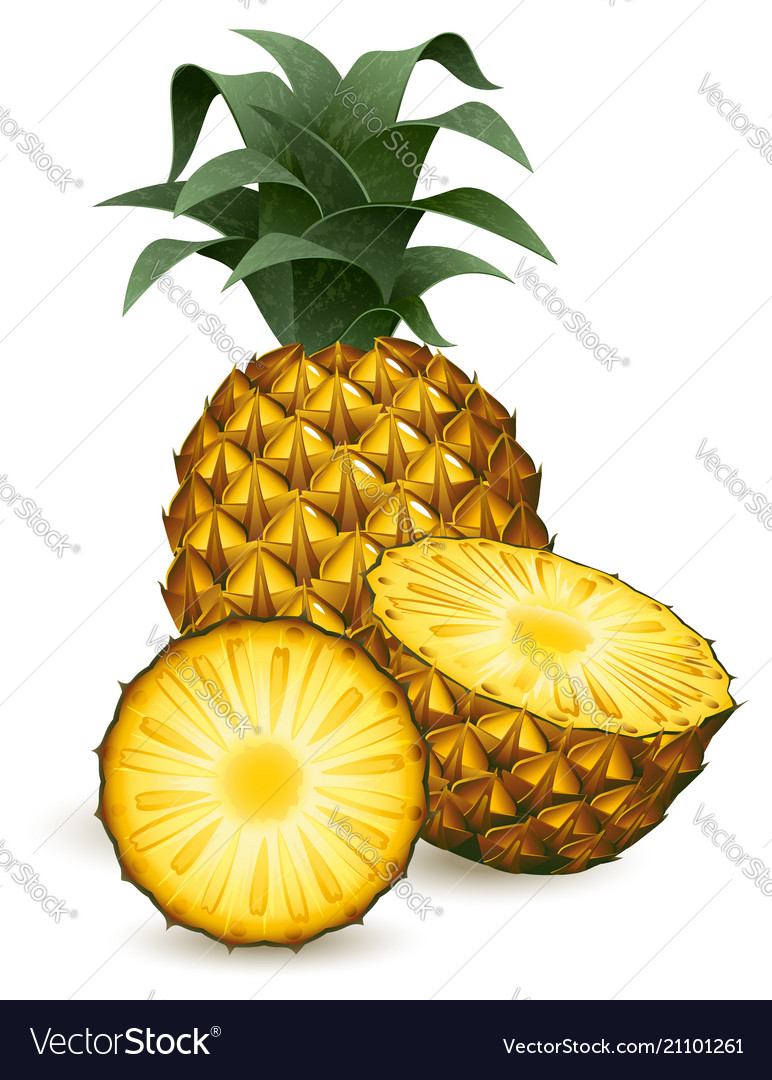 Pineapple Royalty Free Vector Image - VectorStock