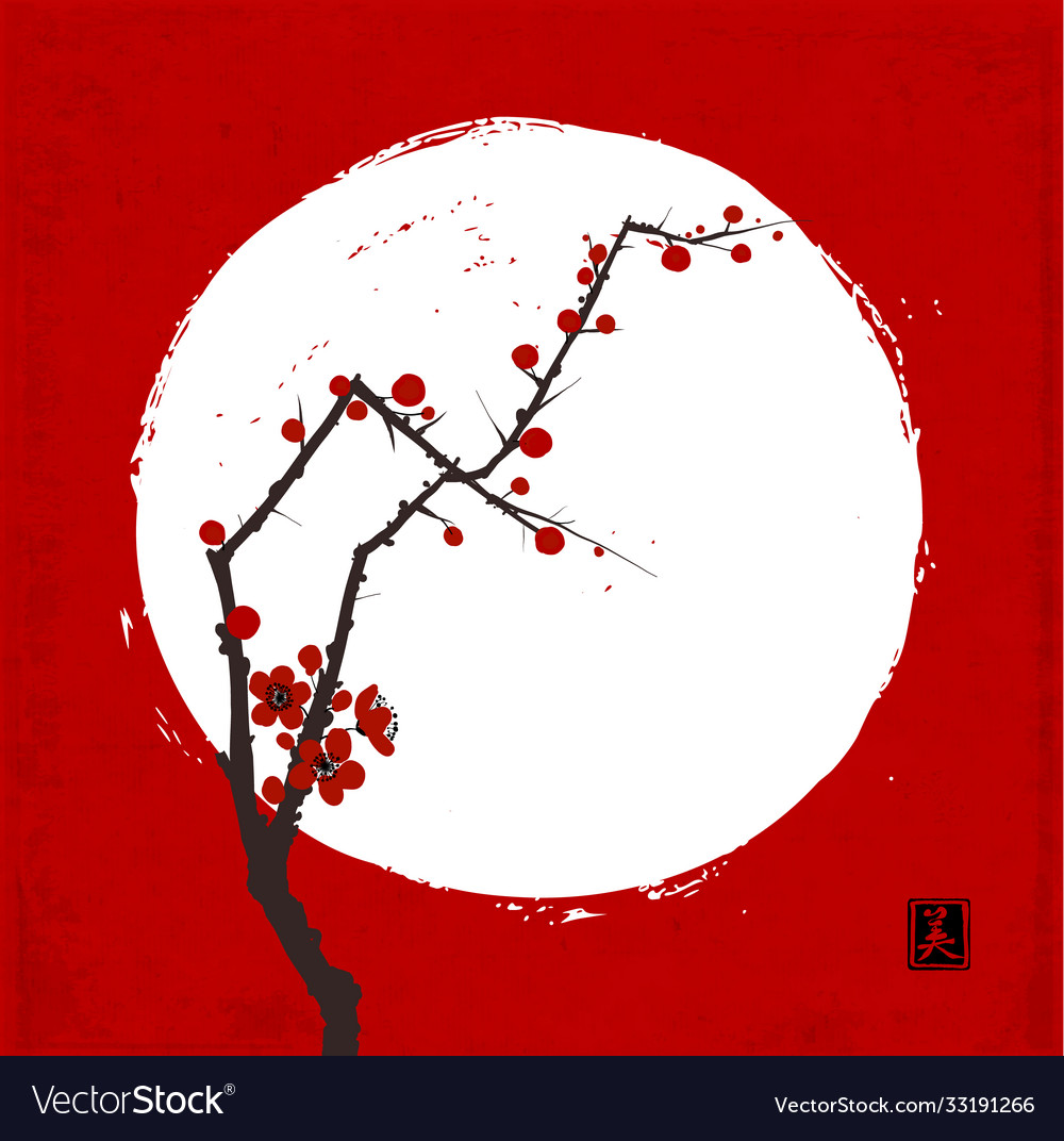 Branch japanese sakura cherry in blossom and Vector Image