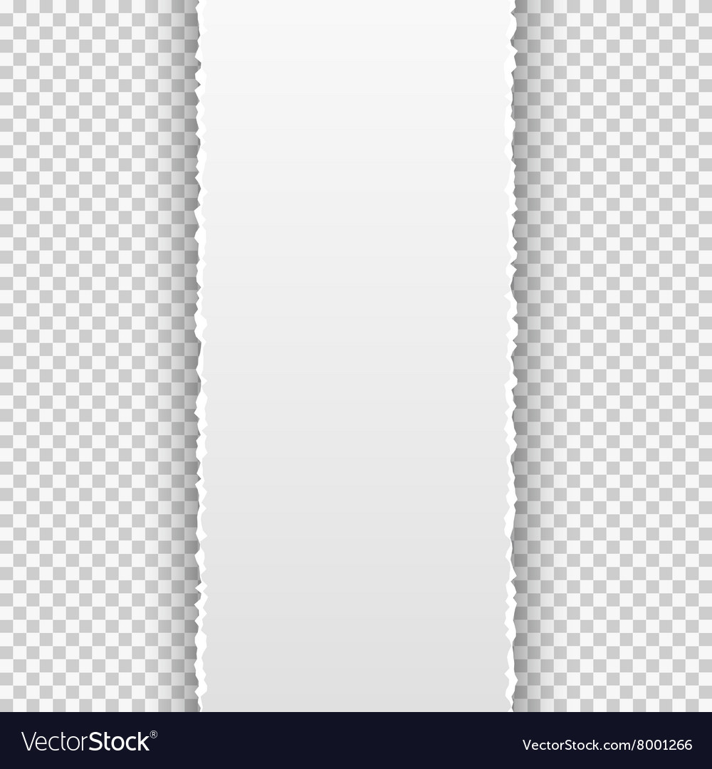 Torn Paper Banner On The Transparent Background Vector Image