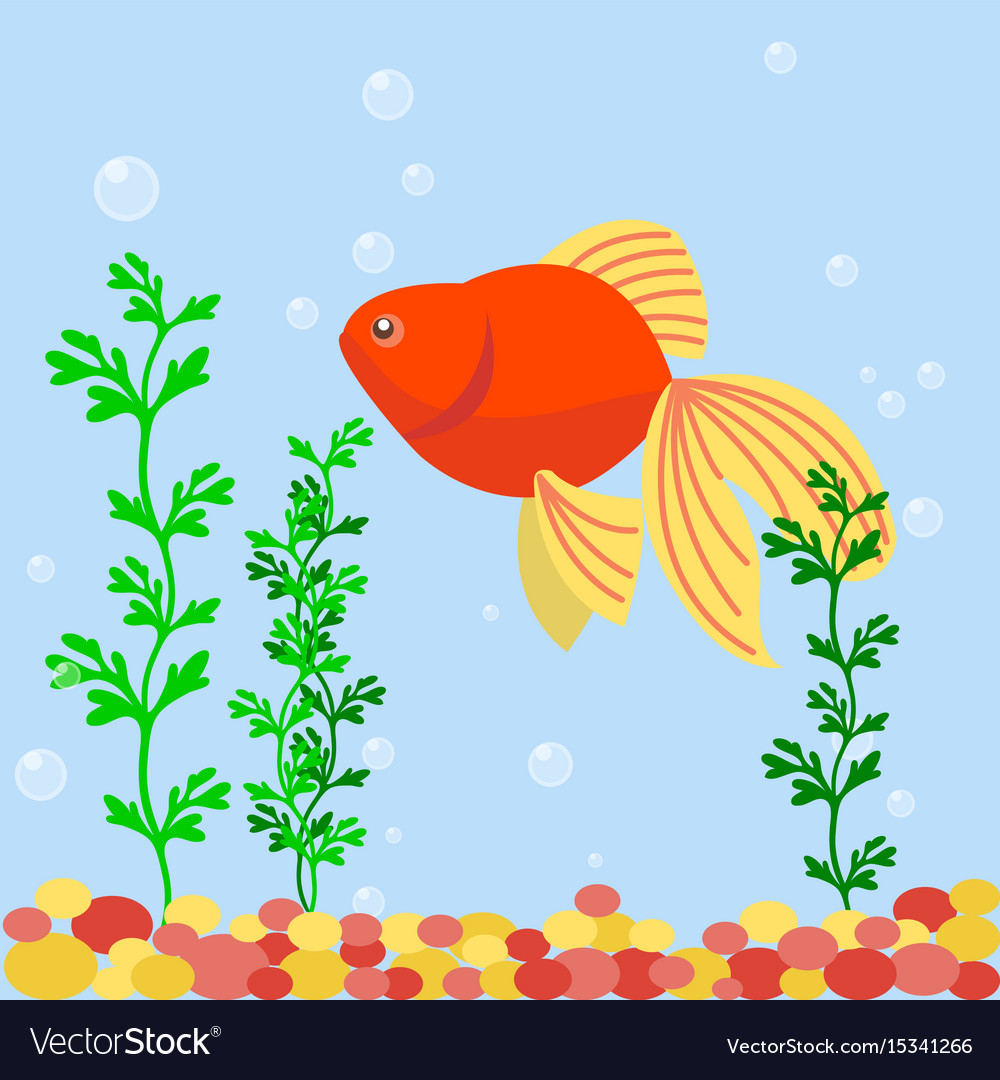 Transparent aquarium sea aquatic background Vector Image