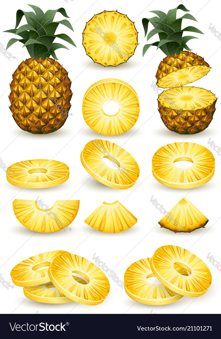 Pineapple Royalty Free Vector Image - VectorStock